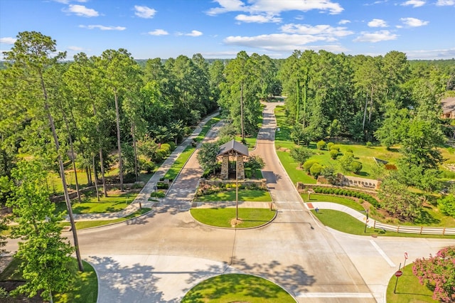 137 Gray Vervain Ct, Montgomery, TX 77316 - view of home's community