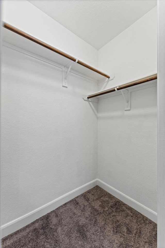 137 Gray Vervain Ct, Montgomery, TX 77316 - walk in closet with dark colored carpet