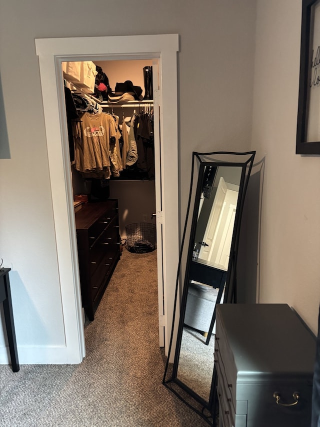 15888 Chestnut Dr, Montgomery, TX 77356 - bedroom featuring a closet, carpet flooring, baseboards, and a walk in closet