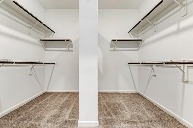 3007 Velda May Dr, Richmond, TX 77406 - walk in closet featuring carpet