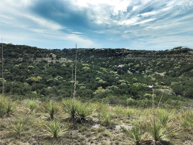 2700 Hillside Cir, New Braunfels, TX 78132