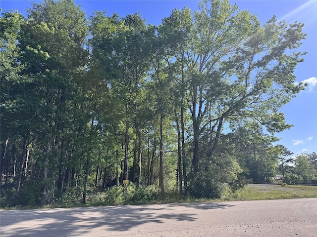 TBD N Railroad Ave, Shepherd, TX 77371 - photo 1