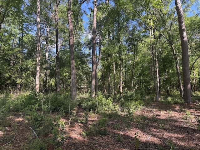 TBD N Railroad Ave, Shepherd, TX 77371 - photo 4
