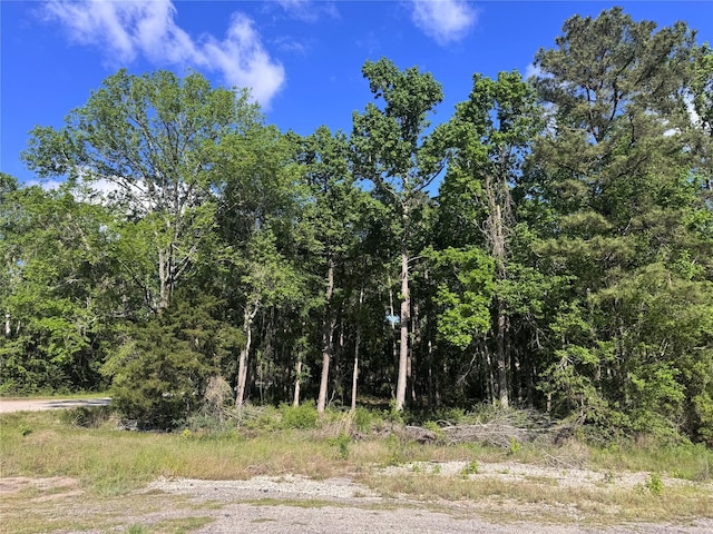 TBD N Railroad Ave, Shepherd, TX 77371 - photo 5
