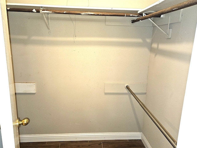 walk in closet with dark wood finished floors