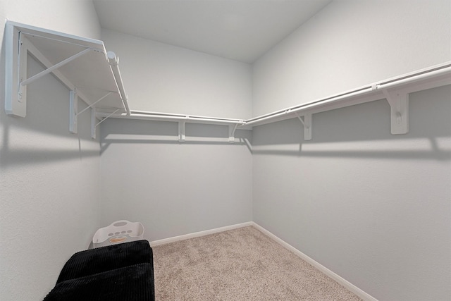 walk in closet with carpet floors