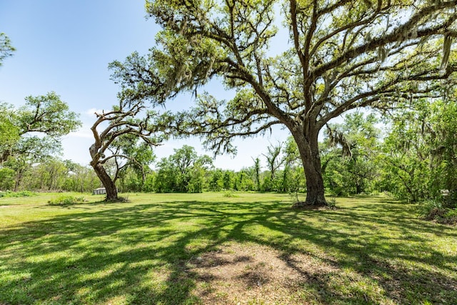 3328 County Road 245, Brazoria, TX 77422 - photo 38