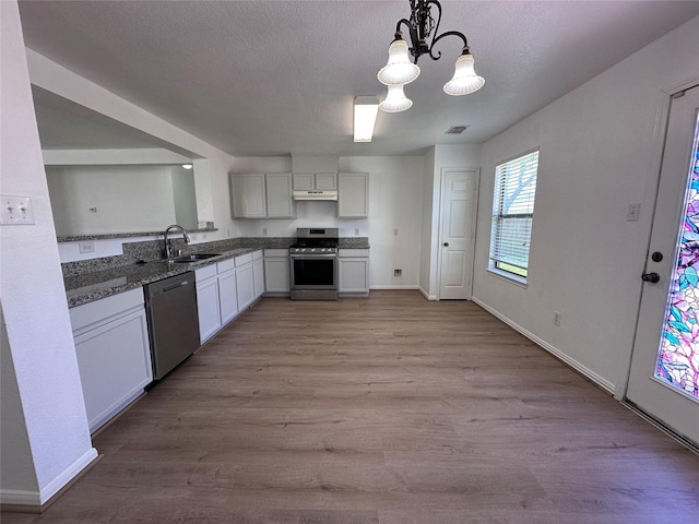 kitchen featuring stainless steel appliances, a sink, a chandelier, wood finished floors, and under cabinet range hood