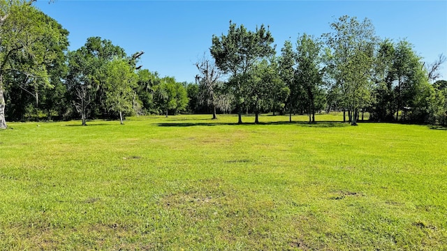 1434 County Road 878a, Sweeny, TX 77480 - view of green lawn