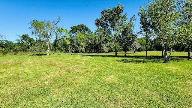 1434 County Road 878a, Sweeny, TX 77480 - view of grassy yard