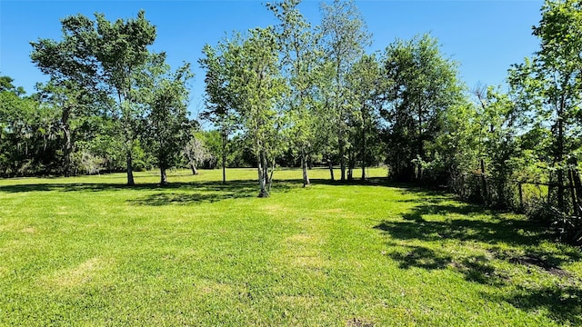 1434 County Road 878a, Sweeny, TX 77480 - view of yard