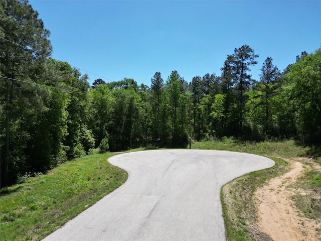 0 Pyrite Ct, Huntsville, TX 77340