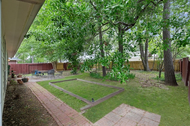 225 Mesa Vw, Montgomery, TX 77316 - view of yard with a patio
