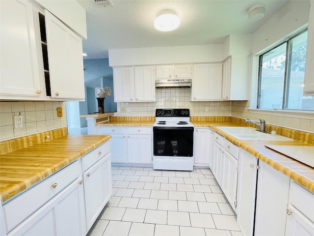 507 Shenandoah Dr, Richmond, TX 77469 - photo 9