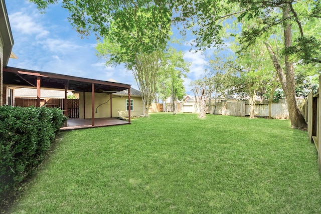 view of yard featuring a patio area