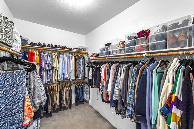 walk in closet with carpet flooring