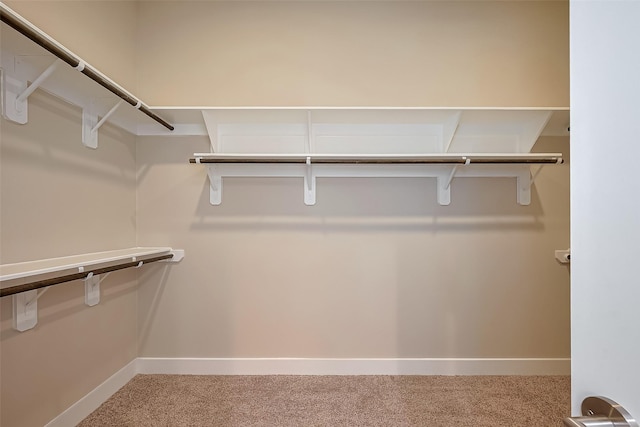 1305 Laird St, Houston, TX 77008 - walk in closet featuring carpet floors