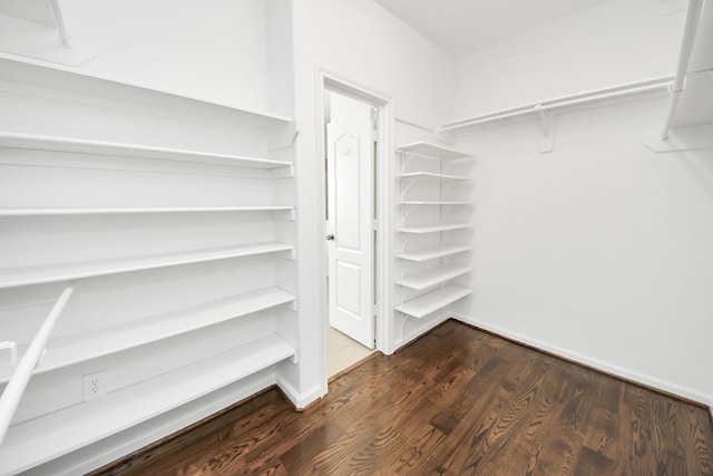spacious closet with dark wood-type flooring