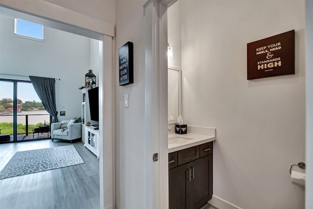 bathroom featuring wood finished floors, vanity, and baseboards