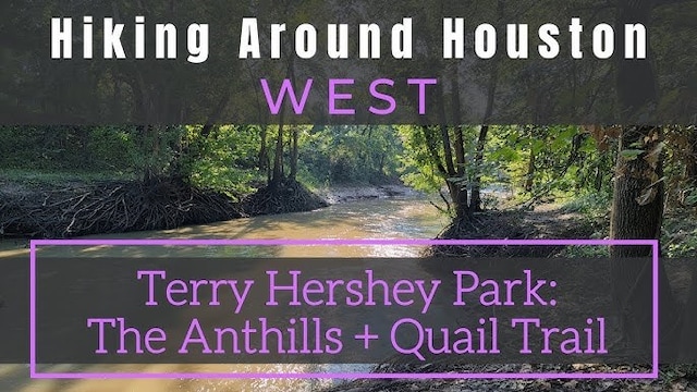 409 Forest Reserve Pl, Houston, TX 77079 - view of a document
