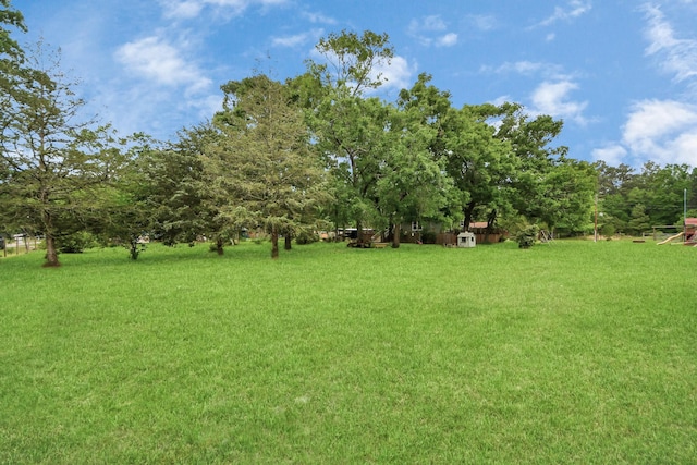 8335 Jernigan Rd, Conroe, TX 77306 - view of yard