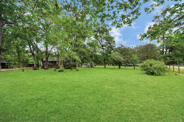 8335 Jernigan Rd, Conroe, TX 77306 - view of yard