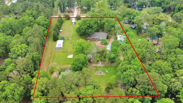 8335 Jernigan Rd, Conroe, TX 77306 - drone / aerial view featuring a view of trees