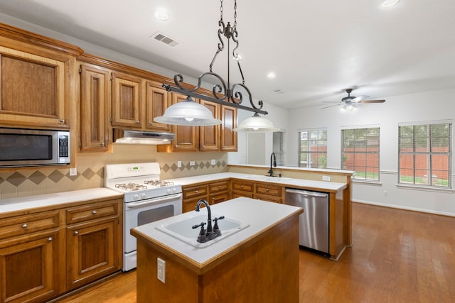 kitchen featuring a sink, under cabinet range hood, a peninsula, and stainless steel appliances