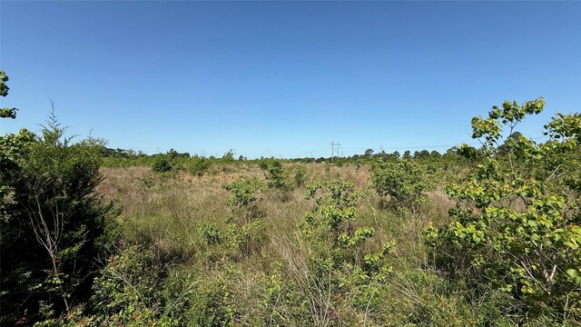 0 Lazy Kay Ln, Hockley, TX 77447 - photo 2