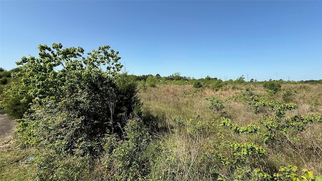 0 Lazy Kay Ln, Hockley, TX 77447 - photo 3