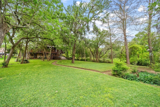 2207 Pine Dr, Friendswood, TX 77546 - photo 35