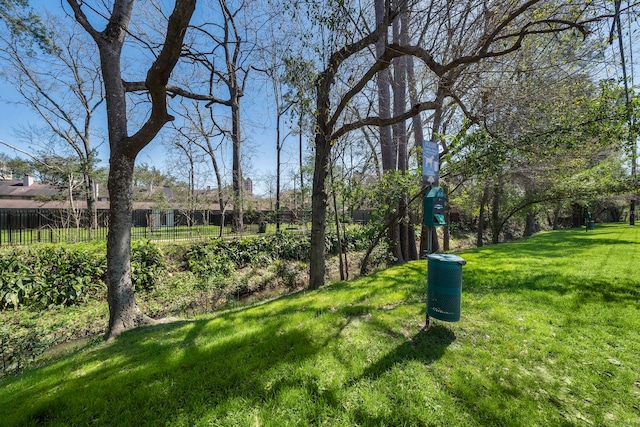 8954 Chatsworth Dr, Houston, TX 77024 - view of yard