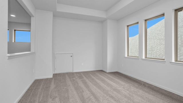empty room with carpet, baseboards, healthy amount of natural light, and a tray ceiling