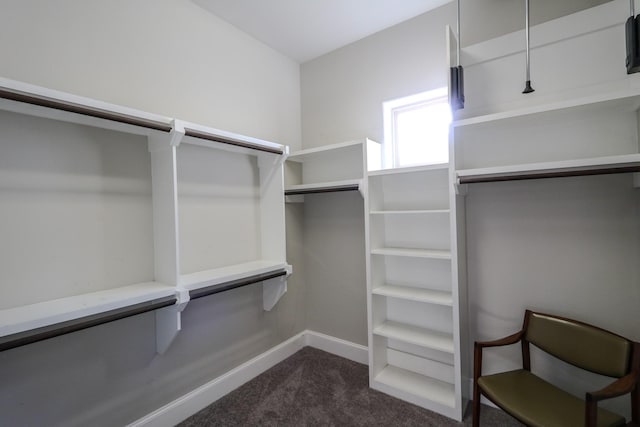 spacious closet featuring dark colored carpet