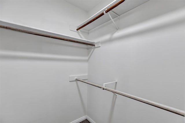 view of walk in closet