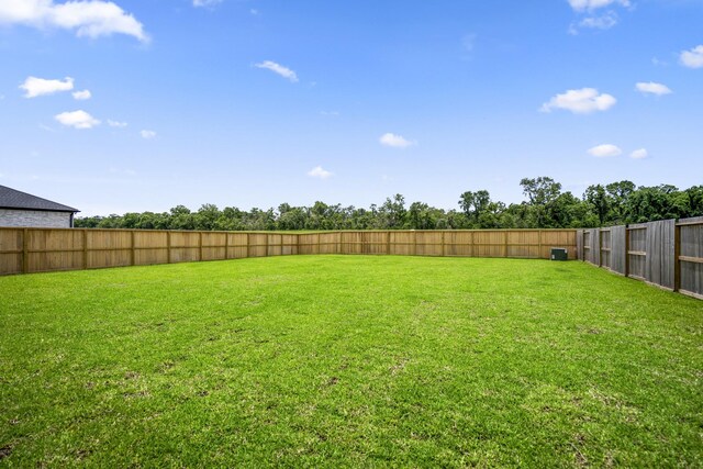 9618 Leafgate Ct, Missouri City, TX 77459 - view of yard