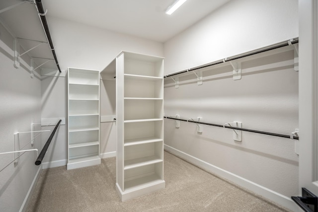 9618 Leafgate Ct, Missouri City, TX 77459 - spacious closet with carpet floors