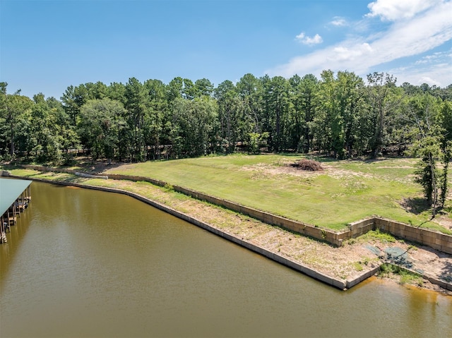 22624 County Road 1174, Bullard, TX 75757 - aerial view with a water view
