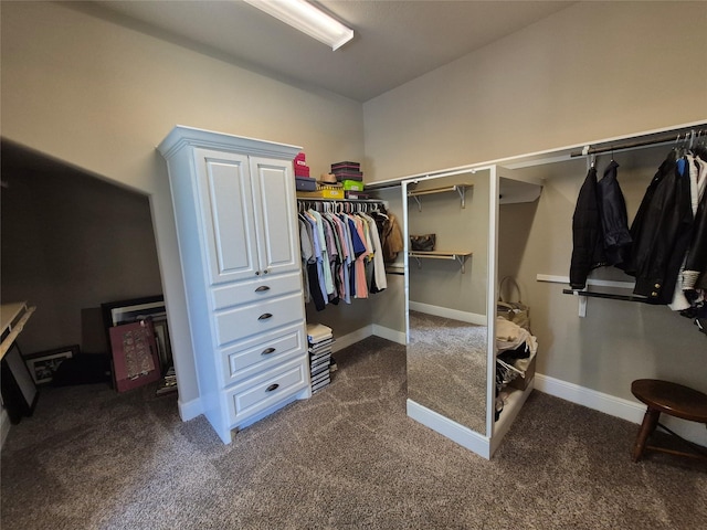7106 Prairie Grass Ln, Katy, TX 77493 - spacious closet featuring dark colored carpet