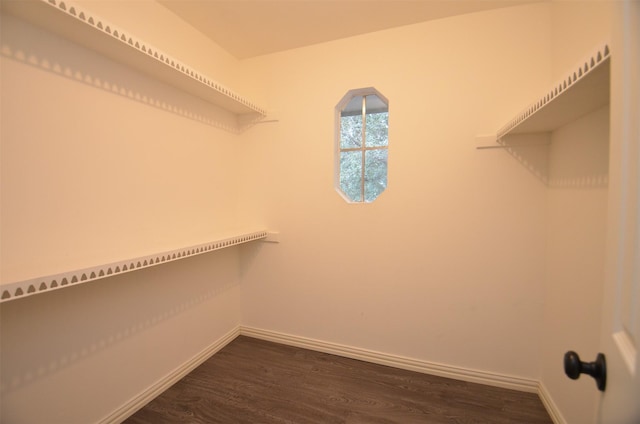 walk in closet featuring dark wood-style flooring