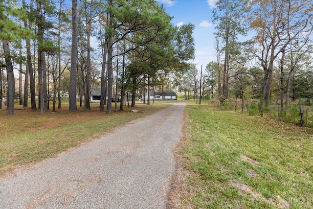 view of road with driveway