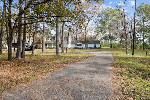 view of road featuring driveway