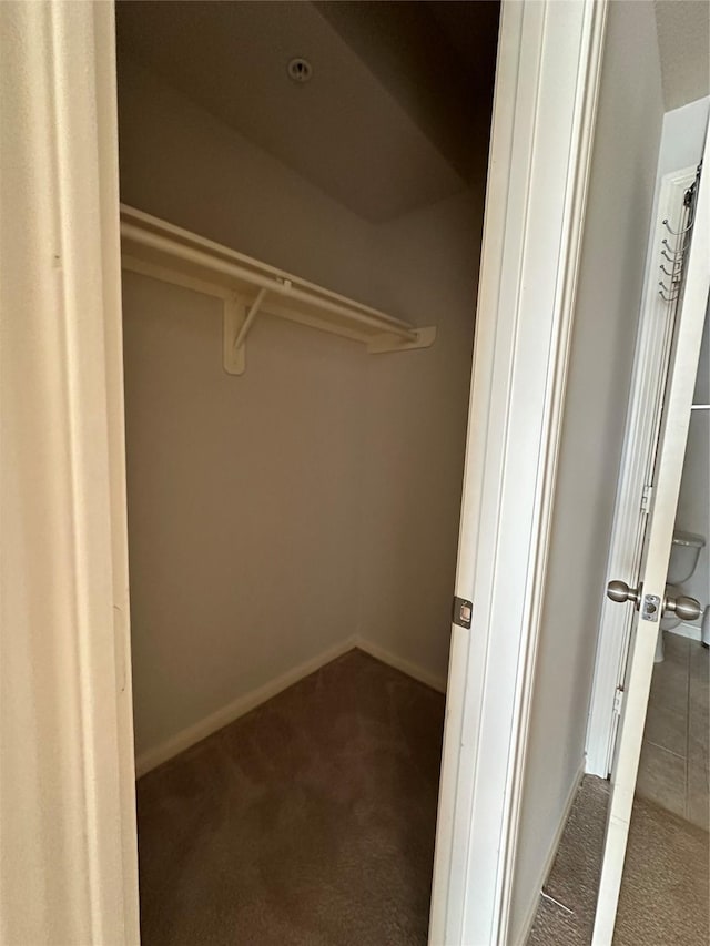 6289 Wilcrest Dr Unit 2203, Houston, TX 77072 - view of closet