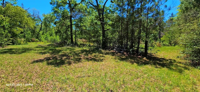 19588 Alford Rd, Magnolia, TX 77355 - photo 3