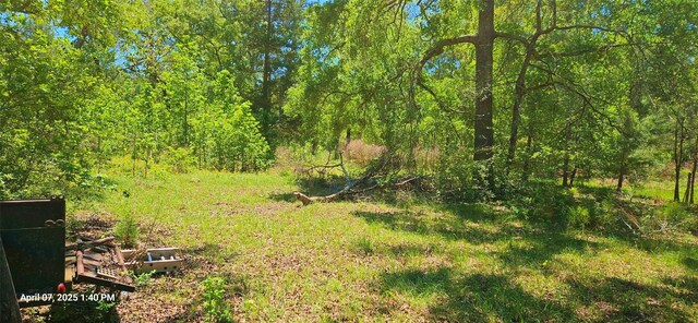 19588 Alford Rd, Magnolia, TX 77355 - photo 5