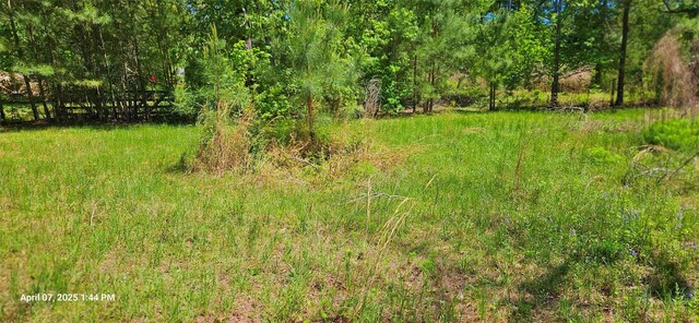 19588 Alford Rd, Magnolia, TX 77355 - photo 9