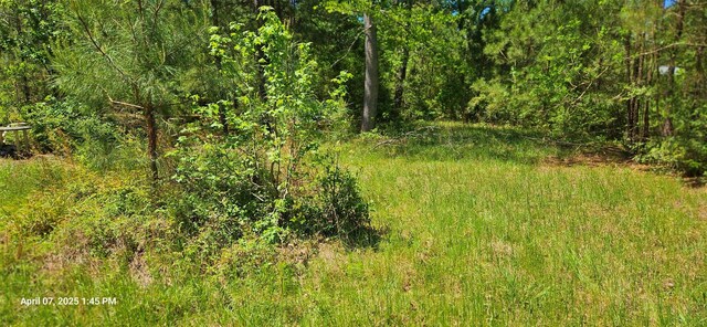 19588 Alford Rd, Magnolia, TX 77355 - photo 10