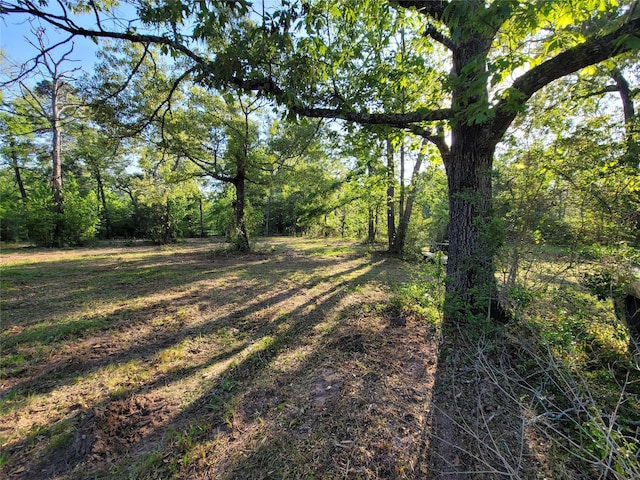 19588 Alford Rd, Magnolia, TX 77355 - photo 1