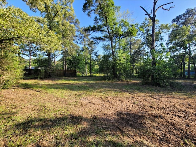 19588 Alford Rd, Magnolia, TX 77355 - photo 2