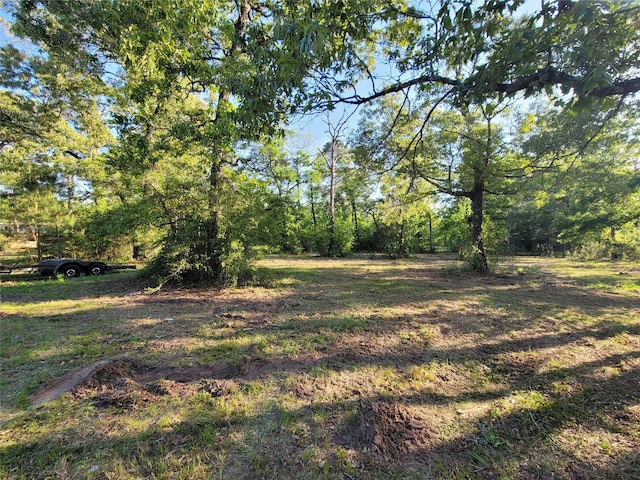 19588 Alford Rd, Magnolia, TX 77355 - photo 4
